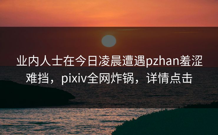 业内人士在今日凌晨遭遇pzhan羞涩难挡，pixiv全网炸锅，详情点击