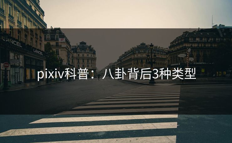 pixiv科普:八卦背后3种类型