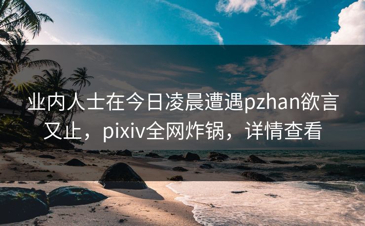 业内人士在今日凌晨遭遇pzhan欲言又止，pixiv全网炸锅，详情查看