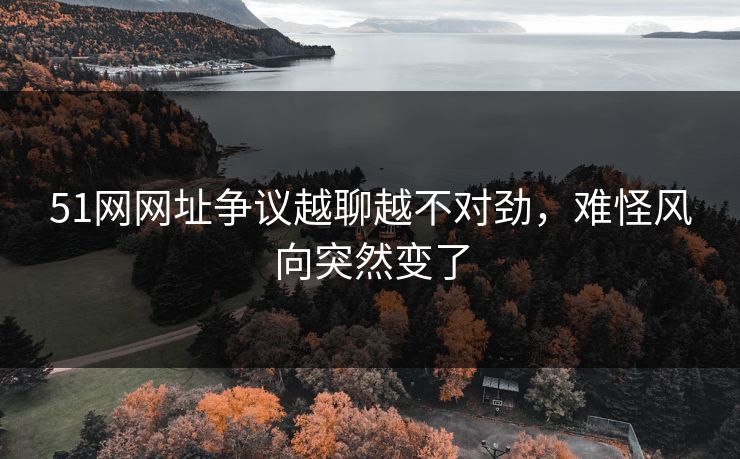 51网网址争议越聊越不对劲，难怪风向突然变了